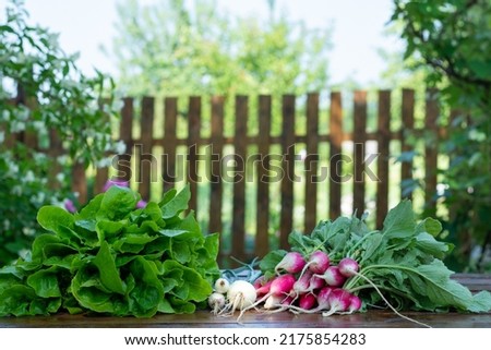 fresh vegetables and herbs on wooden background. raw food ingredients. country style picture