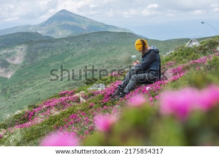 The girl takes pictures of the mountains. A hiker girl sits in the middle of a pink glade of rhododendrons. In the background is the highest mountain of Ukraine - Mount Hoverla. 