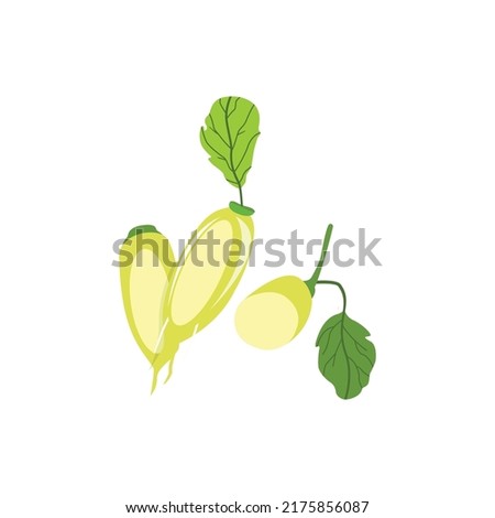 Long tubers of Japanese daikon radish with leaves Large Asian root vegetable with leaves Icon of fresh raw food. on a white background Royalty-Free Stock Photo #2175856087