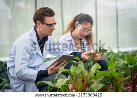 Portrait of Man and Woman agricultural researcher holding tablet while working on research at plantation in industrial greenhouse