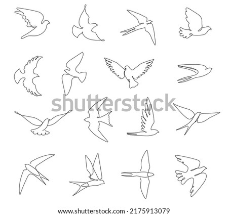 Continuous line birds. Flying swallow, doves and abstract bird with outstretched wings vector sketch illustration set. Animals with feathered wings as symbols of peace, freedom and hope