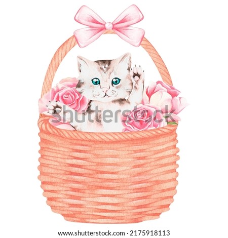 A kitten in a basket with roses. Watercolor illustration. Isolated on a white background. For your design greeting cards, baby products, veterinary clinic advertisements, stickers, pet products.