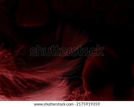 Beautiful abstract red feathers on black background, yellow feather texture on colorful pattern and red background, orange feather wallpaper, love theme, wedding valentines day, red gradient Royalty-Free Stock Photo #2175919359