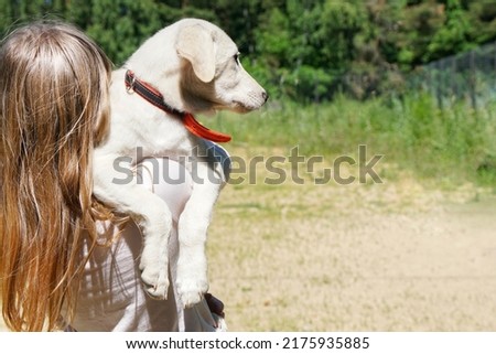 A girl holds a white puppy in her arms in summer outside