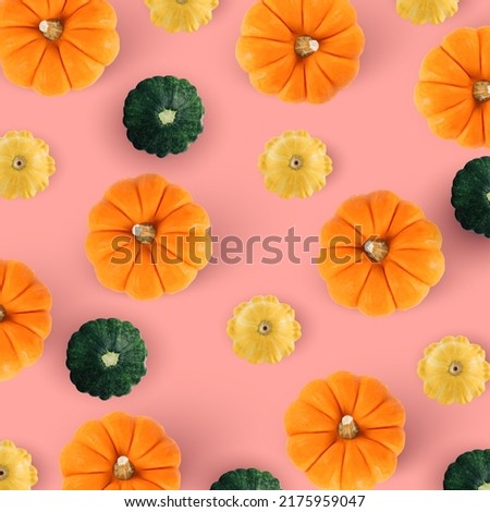 Pattern with autumn pumpkins and green, yellow pattypan squash on pink background. Fall autumn halloween concept. Flat lay, top view. Autumn pattern.