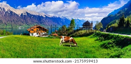 Idyllic Swiss nature landscape - green meadows with cows, surrounded by Alps mountains. Scenic lake Brienz, Iseltwald village Royalty-Free Stock Photo #2175959413
