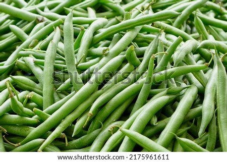 Bush beans are green beans that grow on a short, bushy plant. Common bush bean varieties include Blue Lake Bush, Roma II (Romano), Masai (Filet), and heirloom Kentucky Wonder Bush. High quality pic. Royalty-Free Stock Photo #2175961611