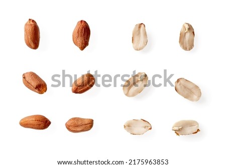 Set of whole and halves raw peanut seeds isolated on a white background. Variety of shelled groundnut or monkey nut cutout. Arachis hypogaea as edible seeds and oil crop. Vegetarian snack. Top view.
