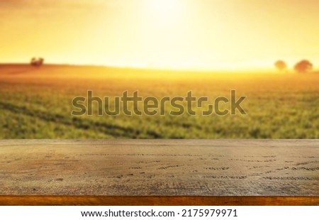 Wooden table top on blur rice field background in daytime.Harvest rice or whole wheat.For montage product display or design key visual layout.View of copy space. Royalty-Free Stock Photo #2175979971