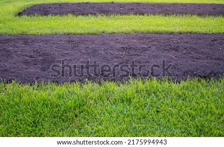 Green lawn areas and planting plots for agriculture