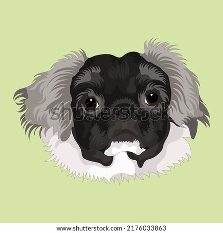 Dog Vector Design With Baby green color Background