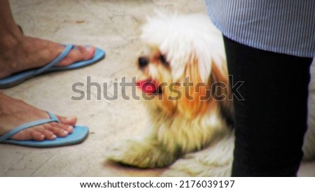 Defocused abstract background of people with their dog in the park. Very funny