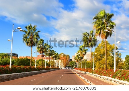 Road in city with of palm trees and residential buildings with apartments at sea. Empty road, no cars in city. Central street with gardens and flowers near city park near the Turia River, Valencia.