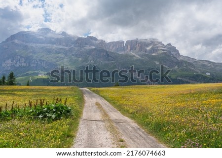 The Alta Badia is called the southern part of the Val Badia, which turns off from the Val Pusteria at San Lorenzo, situated in a unique position in the heart of the Dolomites. meadows, trees, nature.