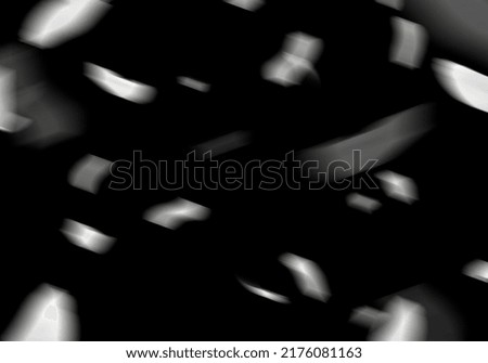 Beautiful white blue color rose petals, on black background, petals falling isolated. overlay for photos
