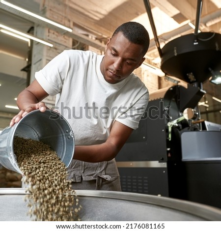 Young focused black male worker or business owner pouring out green coffee beans with bucket in metal grinder. Coffee process making and production. Small business. Modern manufacturing equipment Royalty-Free Stock Photo #2176081165