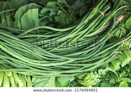 Bunches of long bean with green vegetables background