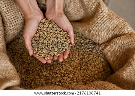 Top view of partial female worker or farmer holding green coffee beans in hands over textile sack. Coffee process making and production. High quality fresh natural organic coffee grains for export Royalty-Free Stock Photo #2176108741