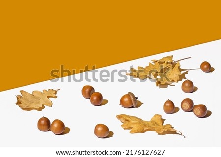 Autumn composition with acorns, dry yellow oak leaves on white and orange, copy space. Royalty-Free Stock Photo #2176127627