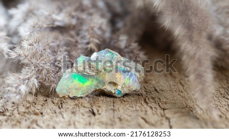 Shiny colorful boulder opal stone on wooden background . Rough unprocessed gemological sample of opal gem stone 