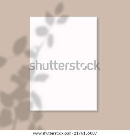 Drop shadow overlay effect on sheets of paper.Modern minimalist style.Scenes of natural lighting.For presentation  poster, blank, flyer,invitation,logo.