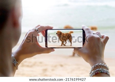 She is photographing a dog on the beach. Woman taking a photo with the camera of a smartphone. Shooting a picture of her pet with a mobile phone. Royalty-Free Stock Photo #2176199427