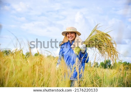 A female farmer wearing a hat and mask is harvesting rice with a sickle in the field, smiling and happy face, holding bunch of rice,  There is a beautiful background of blue sky and clouds. Royalty-Free Stock Photo #2176220133