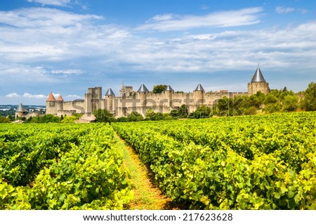 vineyards in Carcassonne, France Royalty-Free Stock Photo #217623628