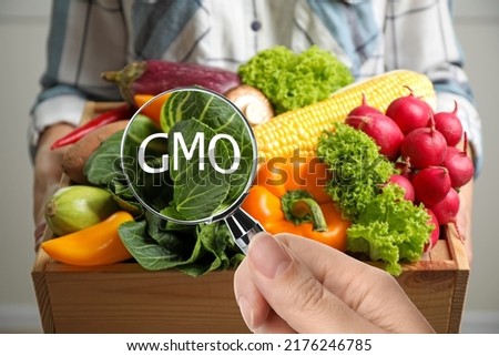View through magnifying glass on fresh vegetables. GMO concept Royalty-Free Stock Photo #2176246785