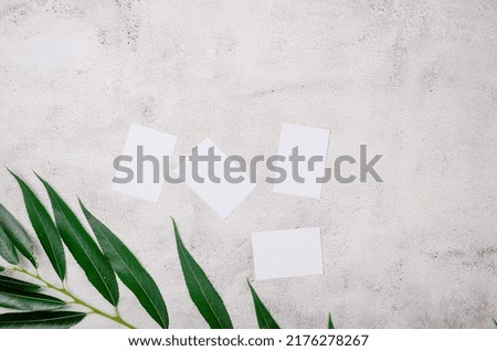 Blank white business cards mockups with grassy foliage on textured background. Elegant modern template for branding identity. Minimal nature background for summer concept. Flat lay, top view.