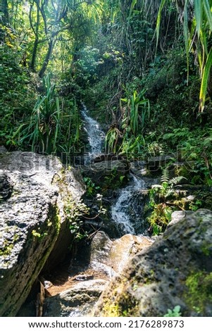 Water stream at the Nā Pali Coast State Wilderness Park Royalty-Free Stock Photo #2176289873