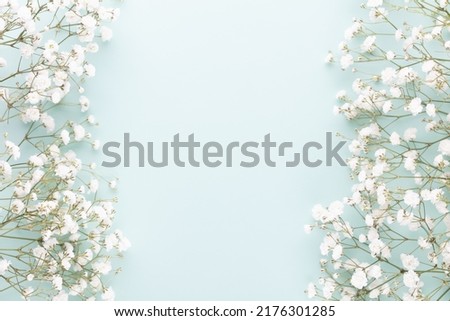 Gypsophila flowers on pastel background. Flat lay, top view, copy space.