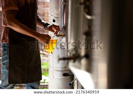 A young man works in a brewery and checks the quality of craft beer. The brewery owner tastes the best beers from Bach. A man's shortcut fills a glass of beer with Royalty-Free Stock Photo #2176340959