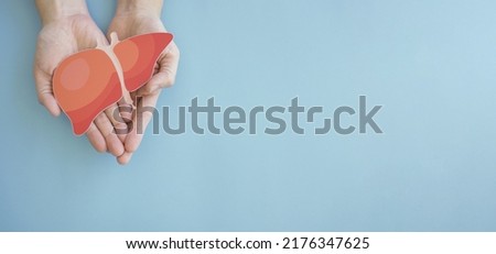 Hands holding healthy liver, organ donation, hepatitis vaccination, liver cancer treatment, world hepatitis day Royalty-Free Stock Photo #2176347625