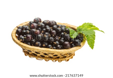 Black currant with green leaf