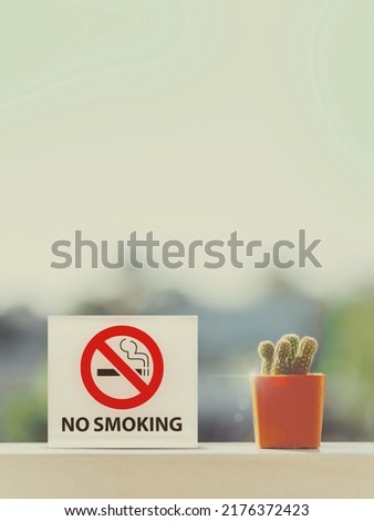 No smoking sign in hotel room with small cactus on white wood table.