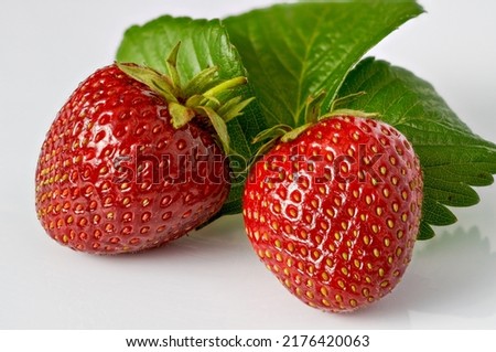 strawberries, Fragaria ananassa Duchesne, red fruit on a white background, leaves, stalks, culinary photography, macro, top view, background for projects, flat lay