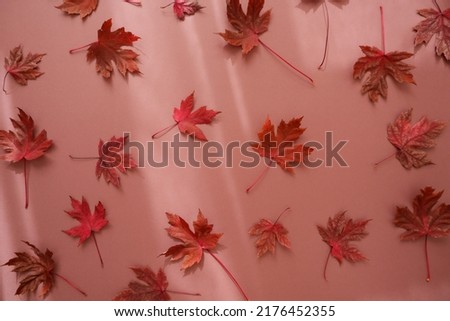 Colorful maple leaves composition on brown background. Autumn concept background decoration with red maple leaves. 