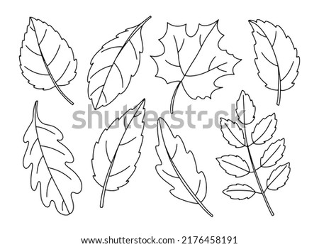 Line art set of autumn leaves, outline collection