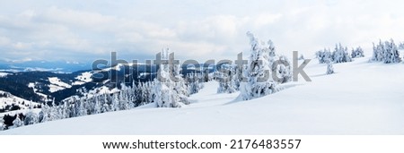 Carpathian mountains, Ukraine. Trees covered with hoarfrost and snow in winter mountains - Christmas snowy background. High quality photo