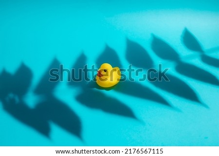 Yellow rubber toy duck on a blue background with leaf shadow.