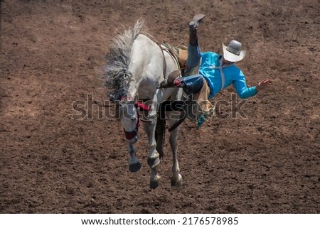 A Rodeo cowboy is falling off on the left side of a bucking bronco. The horse is white. The rider has a blue shirt and a white hat. The horse has all 4 legs off the ground. The arena is dirt.