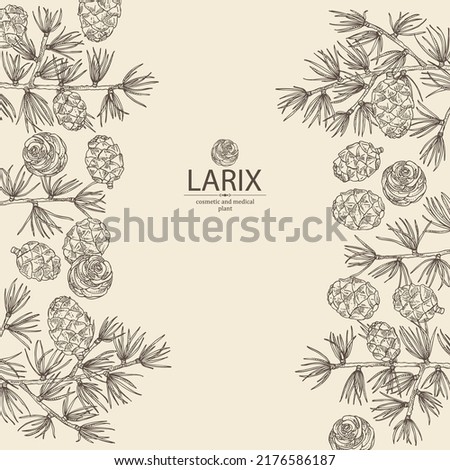 Background with larix: larch tree, larix branch and larch cone. Cosmetics and medical plant. Vector hand drawn illustration. Royalty-Free Stock Photo #2176586187