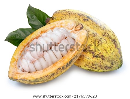 Fresh cocoa fruits with green leaf isolated on white background, Fresh cocoa and cocoa beans on White Background With work path. Royalty-Free Stock Photo #2176599623