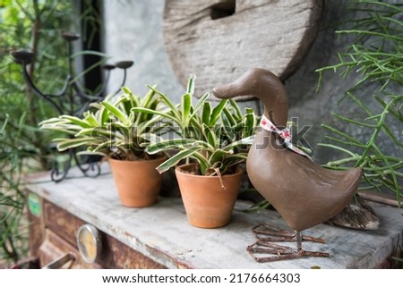 Fake duck decorated on table with flower pot in coffee shop and outdoor restaurant garden.