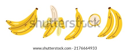 Vector banana set. Cute collection with bananas. Peeled banana, banana bunch and banana slice. Tropical fruit. Royalty-Free Stock Photo #2176664933