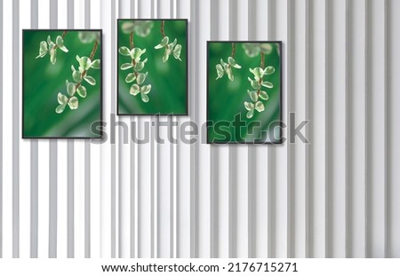 Three frame pictures of Elephant Bush succulent plant on white wooden wall background, interior design concept