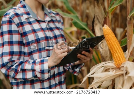 
Farmer woman using digital tablet computer in field, technology application in agricultural growing activity, 