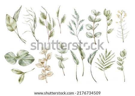 Watercolor green leaves collection for invitations, baby showers, greeting cards, wallart, posters, stickers, logo, quotes Royalty-Free Stock Photo #2176734509