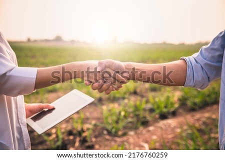 Handshake two farmer on the background of a wheat field at sunset. The concept of the agricultural business. farmer holding hands with beautiful woman with notebook in corn field. Royalty-Free Stock Photo #2176760259